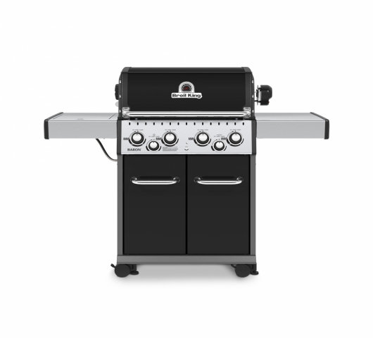 Baron 490 - Foto 1